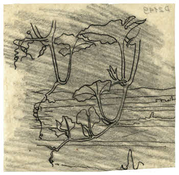 Visualizza l'immagine "FD D 2149"